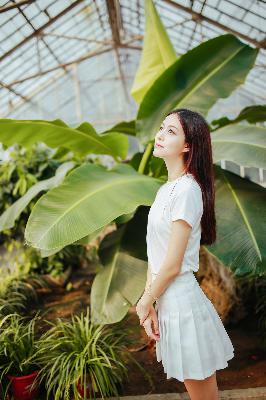 藏海花电视剧免费观看完整版