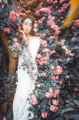 最近热播电视剧排行榜前十名