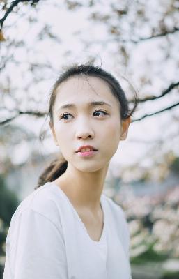 开始推理吧第3季在线观看免费完整版