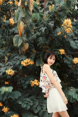 金牌影院电视剧在线观看