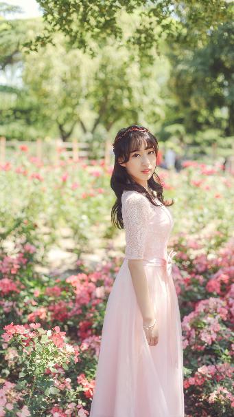 巡回检察组免费观看全集完整版