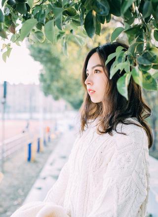 金牌影院电视剧在线观看