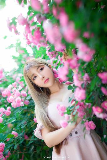 嫡女母狗骑木马苏婉是哪部小说