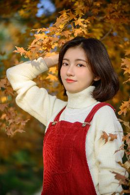 秋霞电视剧免费播放网站在线观看