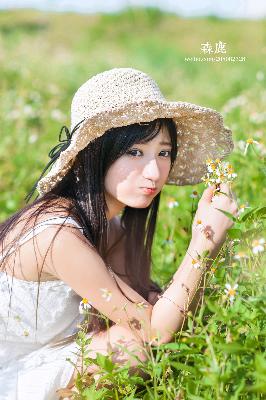 我的兄弟叫顺溜电视剧全集免费观看