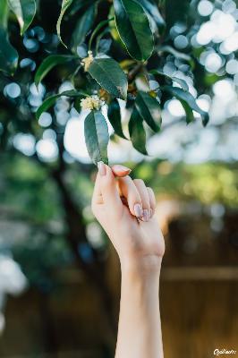 度华年电视剧在线观看免费高清版