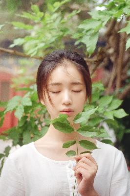 疯狂祖母免费观看高清版