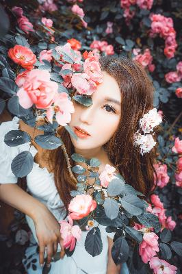 仙逆动漫在线观看高清