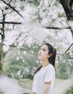 金瓶双艳电视剧免费观看全集高清