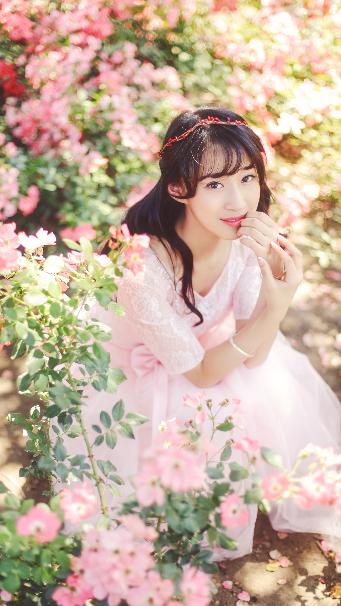 谁是凶手电视剧完整版免费观看