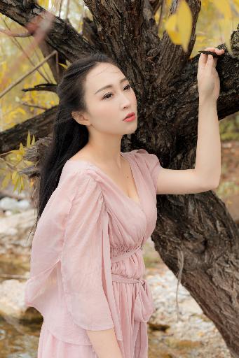 国产射频放大器