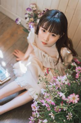 平凡的世界电视剧免费观看