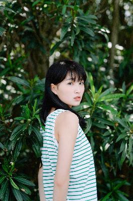 永生第五季之太元仙府在线观看