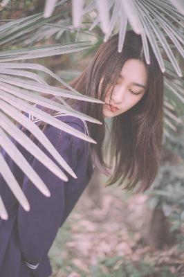 小巷人家 电视剧