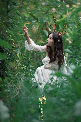 中文字幕在线观看