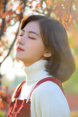 火影忍者免费观看全集在线观看高清