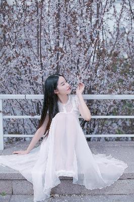 2025热播古风短剧免费看