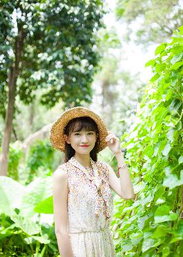 利剑玫瑰电视剧免费观看全集高清