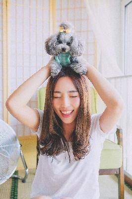 梅子影院免费观看电视剧高清版