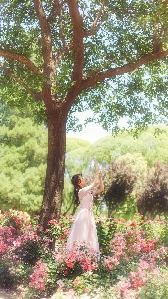 蜜桃成熟时在线