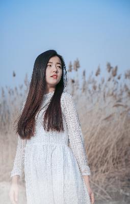 国产免费观看高清电视剧在线最新