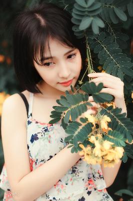 白日梦我电视剧免费观看完整版